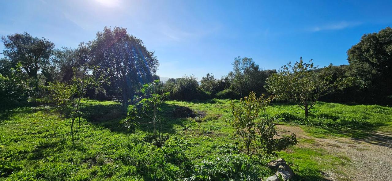 T3 Paisible Quartier Vigna Maggiore, Olmeto Olmeto  Kültér fotó